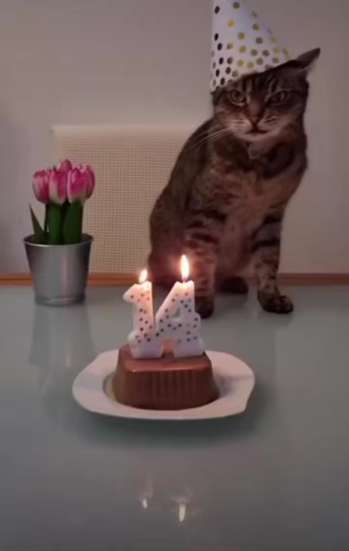 Yo el 26 de Agosto.