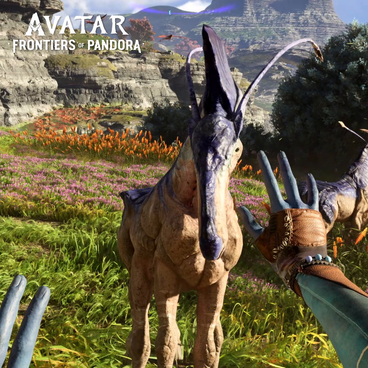 In the north of the Western Frontier, discover the expansive grasslands of the Upper Plains, filled with open views as far as the eyes can see 👀