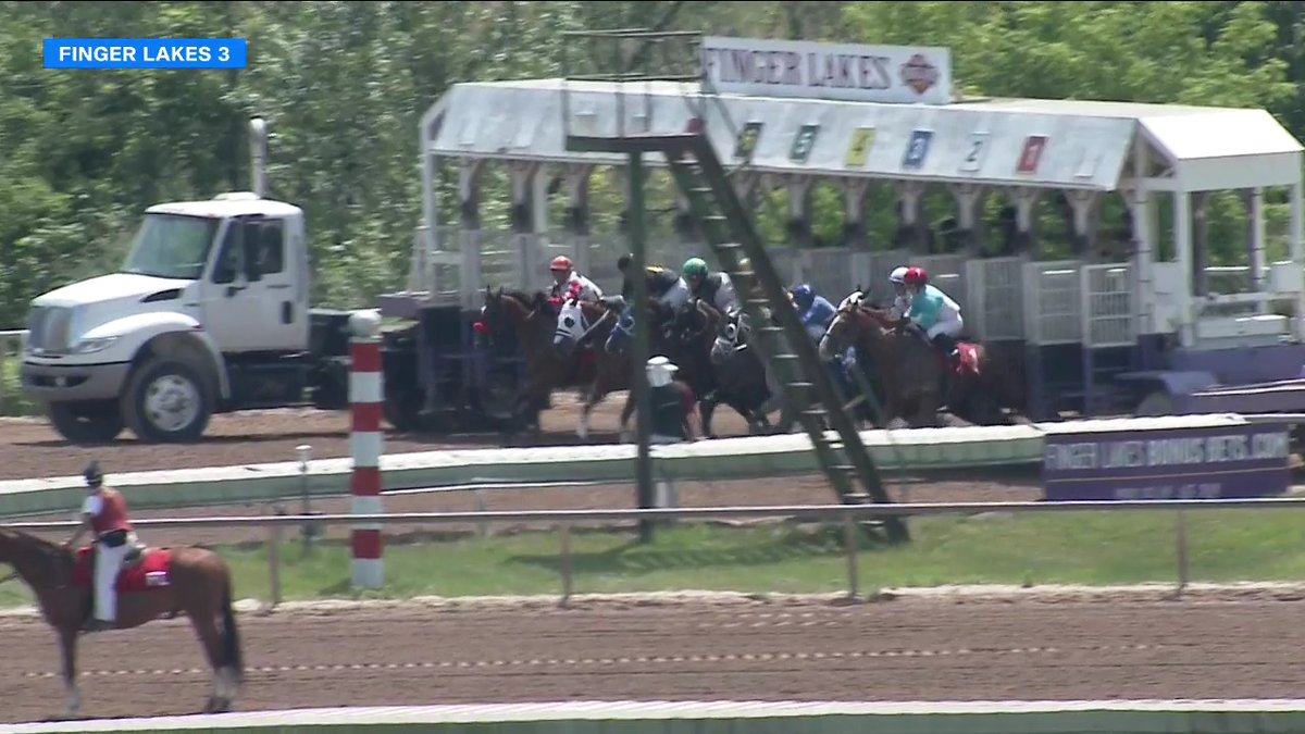 #1 DR BLARNEY ($6.10) comes up the inside under Jacqueline Davis to win race 3 at Finger Lakes. The 10yo gelding has now won 27 of 44 career races. Karl Grusmark trains while DiRico Racing and Breeding owns. Watch more on FanDuel Television Horse Racing Network and wager at