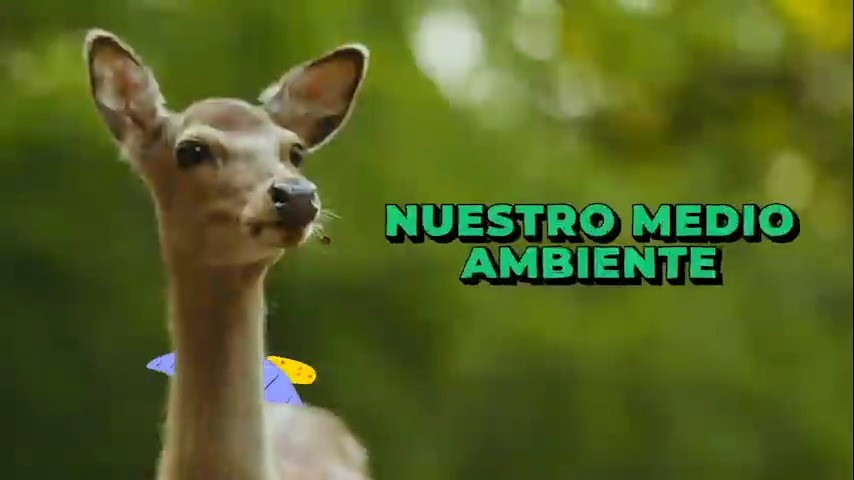 Es momento de compartir eso que estás haciendo para mejorar nuestro medio ambiente. 🌿🌍 Inspira y promueve el cuidado de nuestra casa común y gana increíbles premios en #HazloViral 2023.🏆 Consulta las bases: @M_AmbienteGto Hazlo Viral GTO 📱🌟🤍 @JuventudEsGto