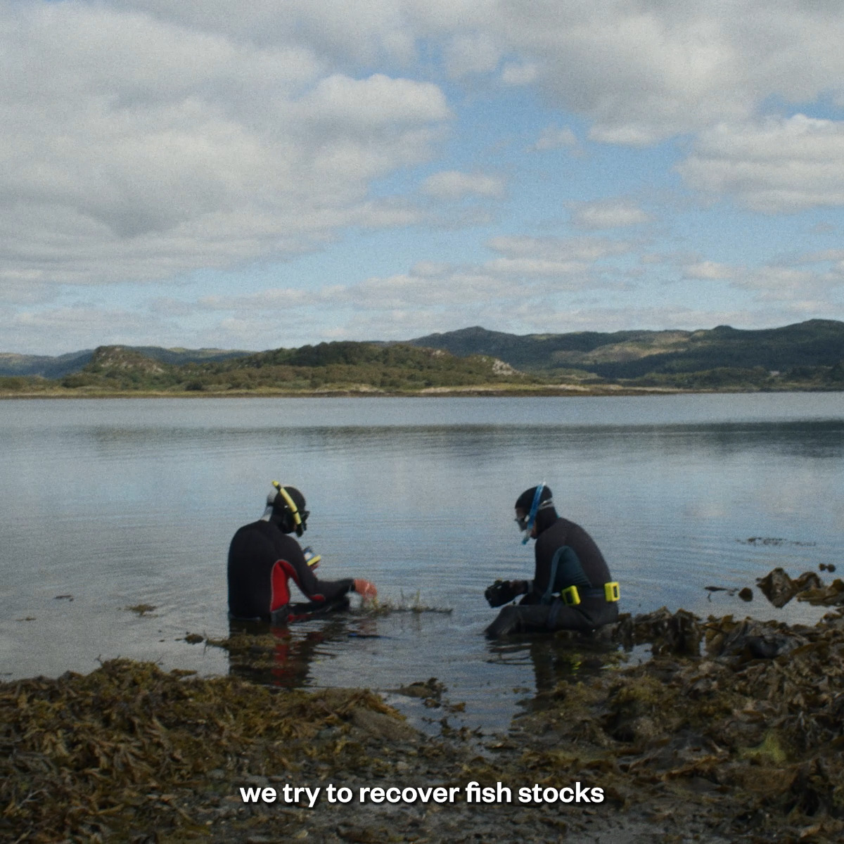 Meet the local Scots who are restoring their local waters, one seagrass bed at a time. Watch "The Custodians" at Directed by Arthur Neumeier Featuring @SeaWilding