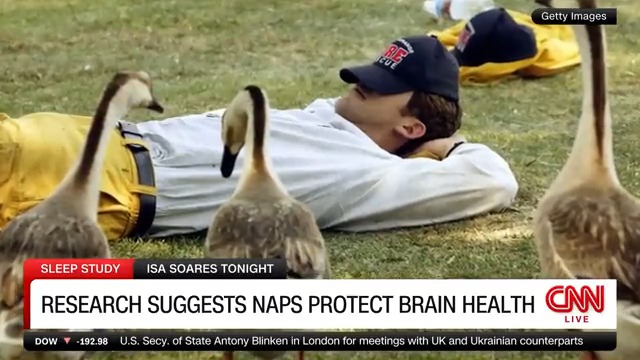 Taking a short nap during the day may help to protect brain health as we age, according to a new study