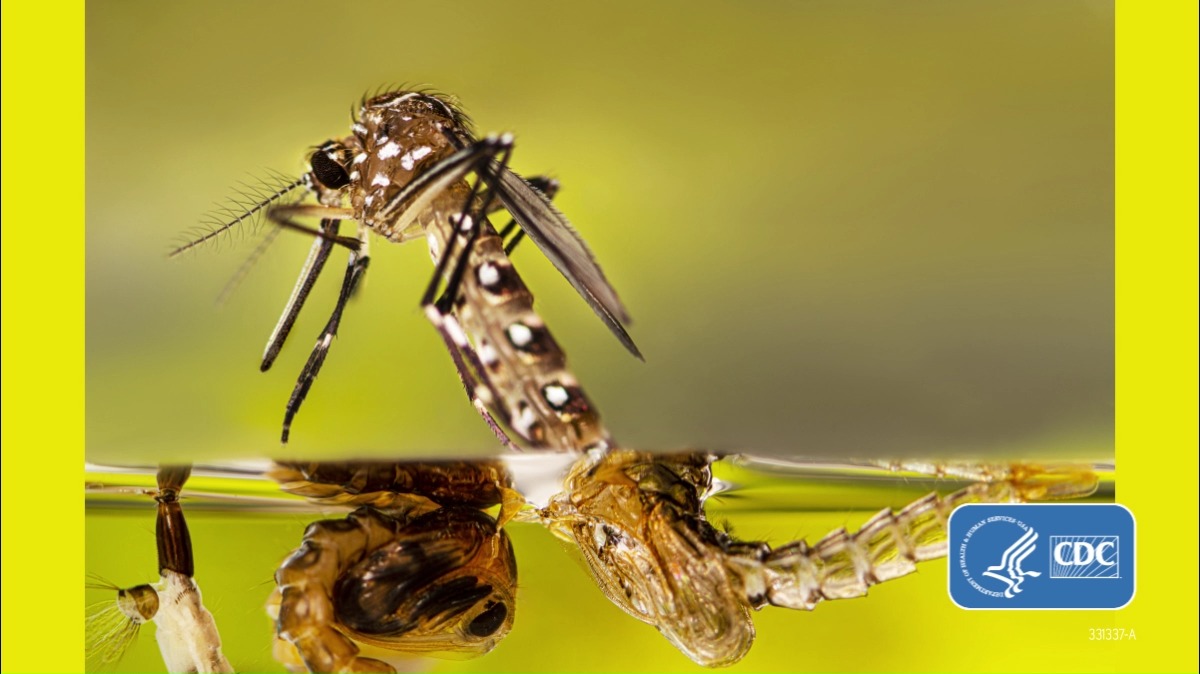 Mosquitoes aren’t just a nuisance. They spread germs that can make people sick! Learn mosquito control tips this #NationalMosquitoControlAwarenessWeek: