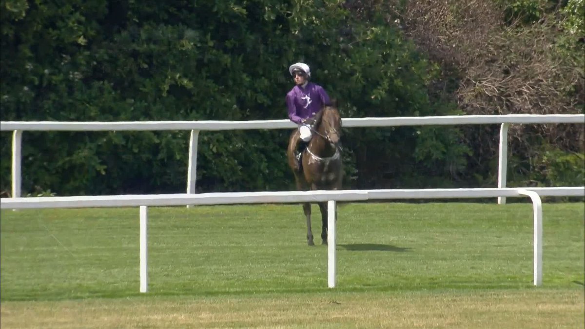 WOW!!🤩 What a run from MALC! 2nd in the Gr.2 Norfolk Stakes for Oisin Orr and Richard Fahey🥈 A huge performance! #TeamMPR #RoyalAscot