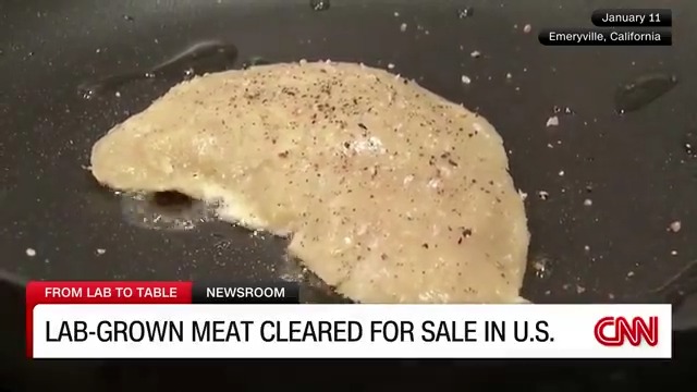 Cultivated meat, also known as lab-grown meat, has been cleared for sale in the United States