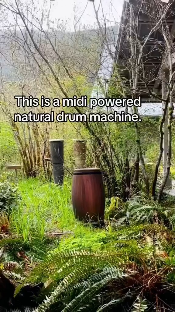 The magic of the MIDI-powered drum machine by Dan Corson.🥁 💦 🎥 "toonzee_artist" on Instagram.