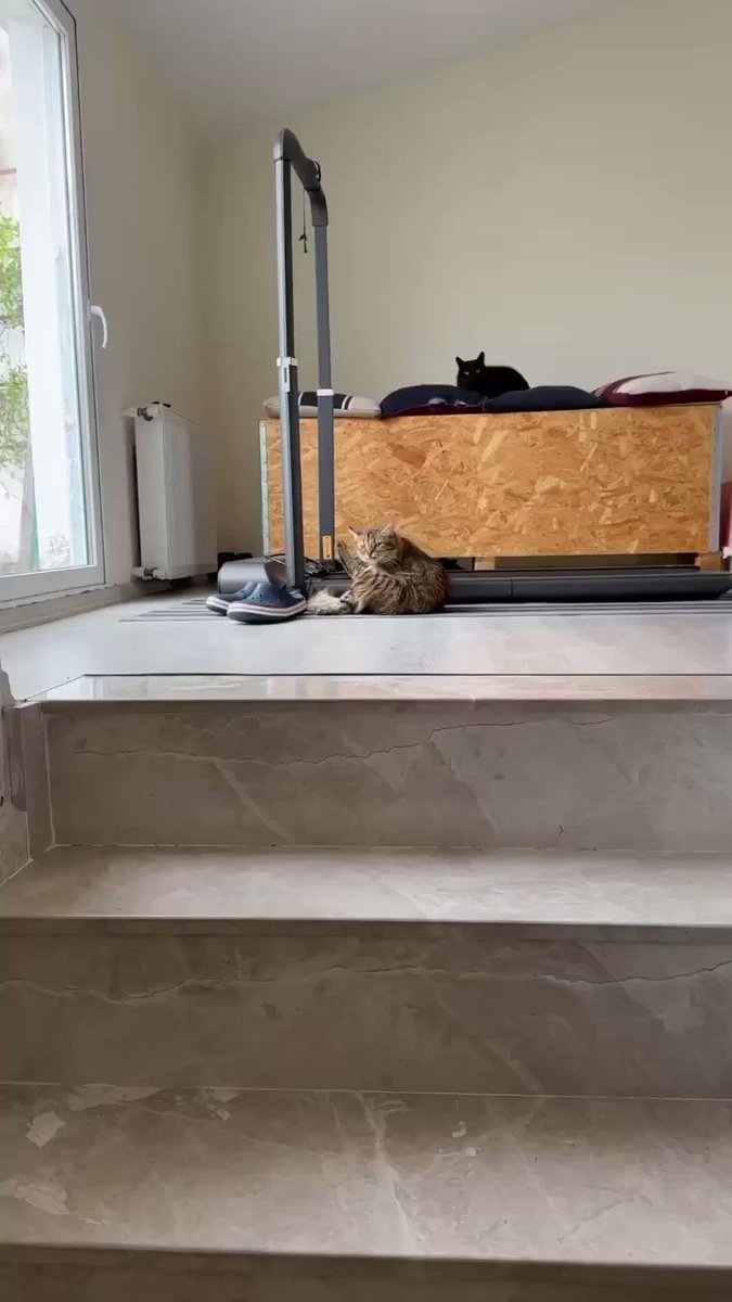 Tipe bakışa bak psikolojik deli ahahsjs