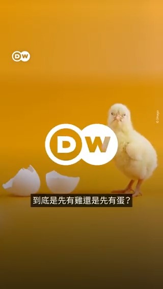 到底是先有鸡🐥还是先有蛋🐣? 到底是先有鸡🐥还是先有蛋🐣? DW认认真真的回答这个问题……