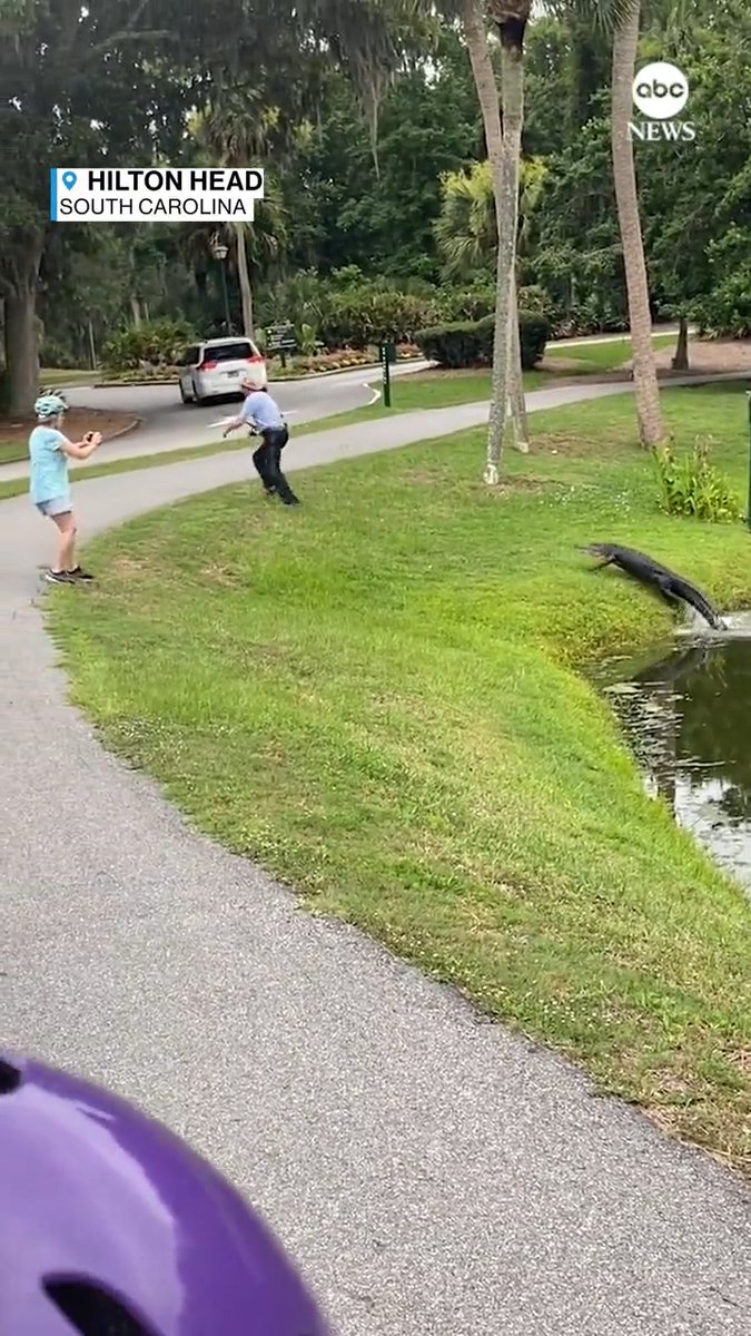 A man visiting Hilton Head, South Carolina, captured the moment a fisherman was charged by an alligator. No one was injured and the alligator re-entered the pond shortly after.