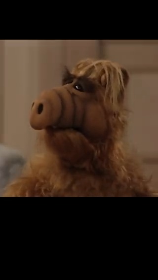 I don’t look a day over 250. Watch your favorite episodes of ALF along with new commentary in ALF on ALF, starting tonight at 8PM ET / 5PM PT on Shout! TV. #WorldUFODay 🛸