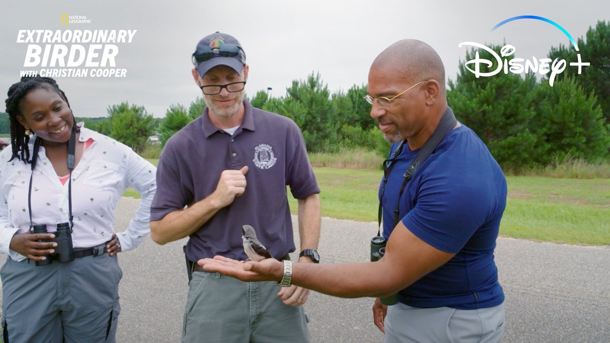 Meet ChristianCooper, an avid birder who’s ready to take flight. #ExtraordinaryBirder with Christian Cooper is streaming June 21 on #DisneyPlus and Hulu.