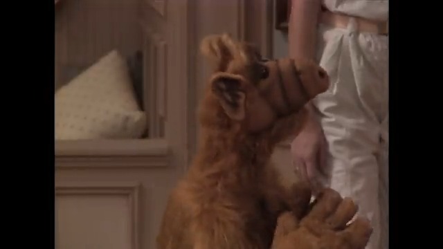 Aliens today don’t know how good they have it. ALF on ALF starts now on Shout! TV. #WorldUFODay