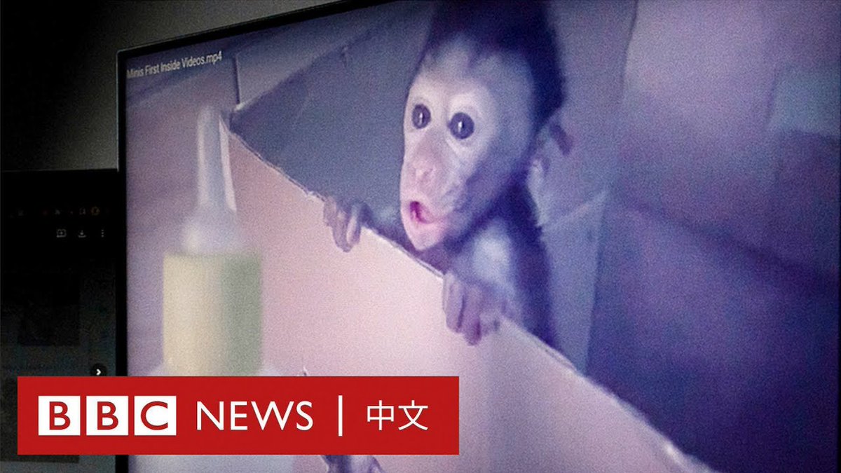 BBC一项长达一年的调查揭露了横跨印尼和美国的虐待猴子社群。这些虐待、仇恨猴子的群体开始于YouTube,接着转移到Telegram加密群组。 BBC发现,数百名来自美国、英国以及其他国家的“客户”付费,以让印尼人虐待并杀害长尾猕猴宝宝。 阅读详细英文调查: