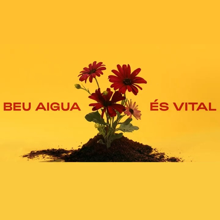 🟠 Aquest estiu, BEU AIGUA sovint encara que no tinguis set. ⚠ Els símptomes de la deshidratació són: 🔹 Cansament 🔹 Mareig 🔹 Pressió arterial baixa 🔹 Taquicardia 🔹 Rampes I recorda: evita sortir a les hores de màxima calor. #AquestaCalorÉsMortal
