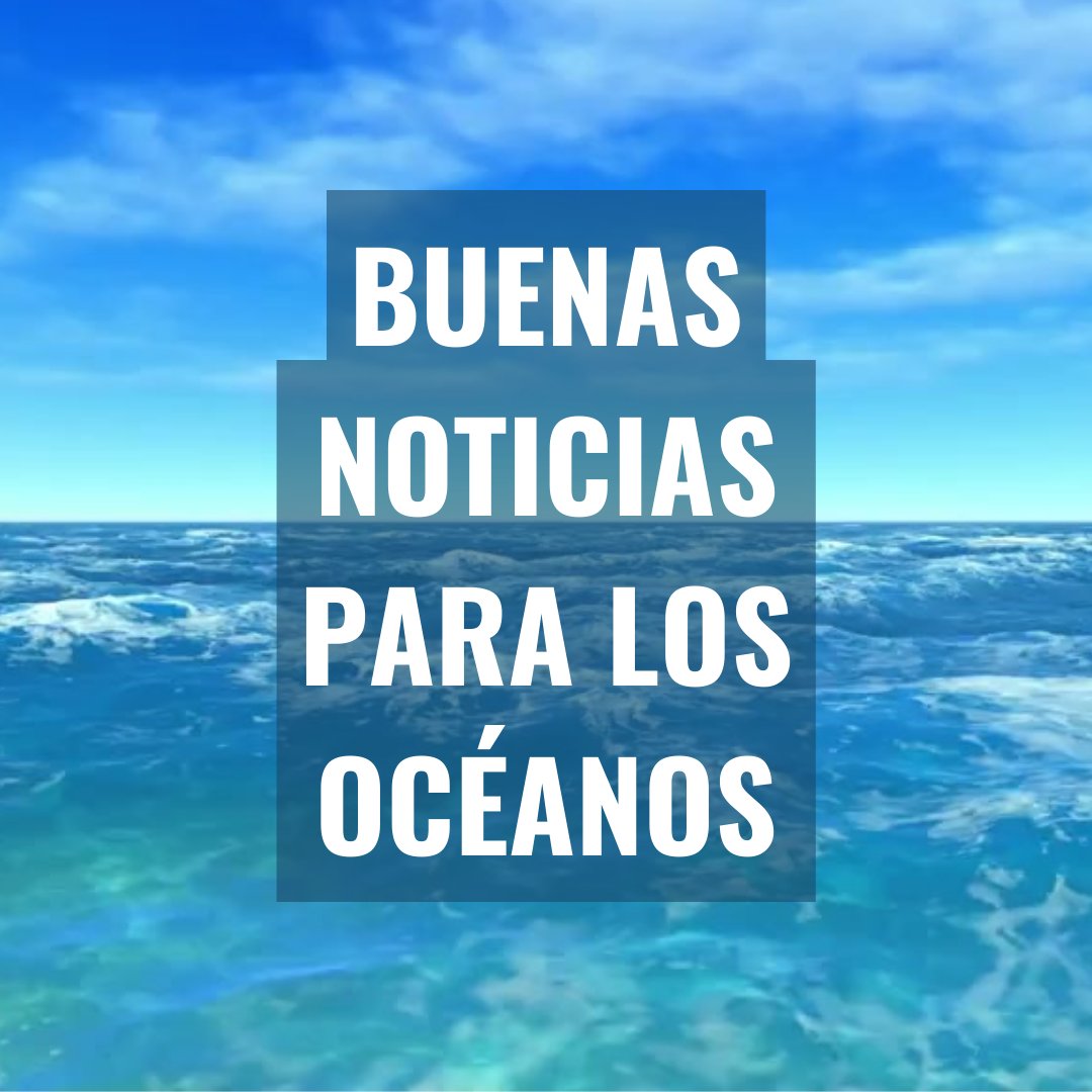 🌊 ¡Buenas noticias para los océanos! La ONU ha aprobado un tratado histórico para proteger las aguas internacionales y garantizar la supervivencia de la biodiversidad en alta mar. ¡Celebremos este importante paso hacia un futuro más sostenible! #SalvemosLosOcéanos