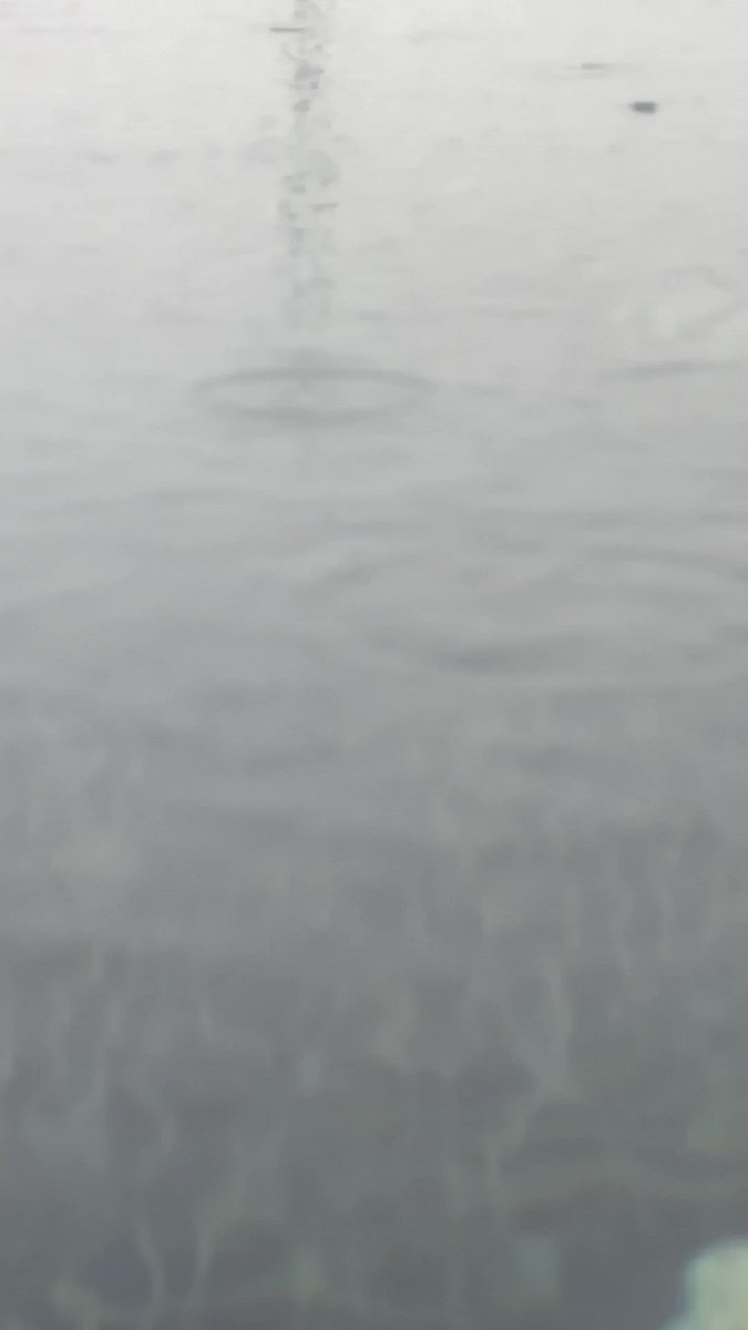 May be RAINDROPS are the bravest things created by God, They are never afraid of FALLING.. :)
