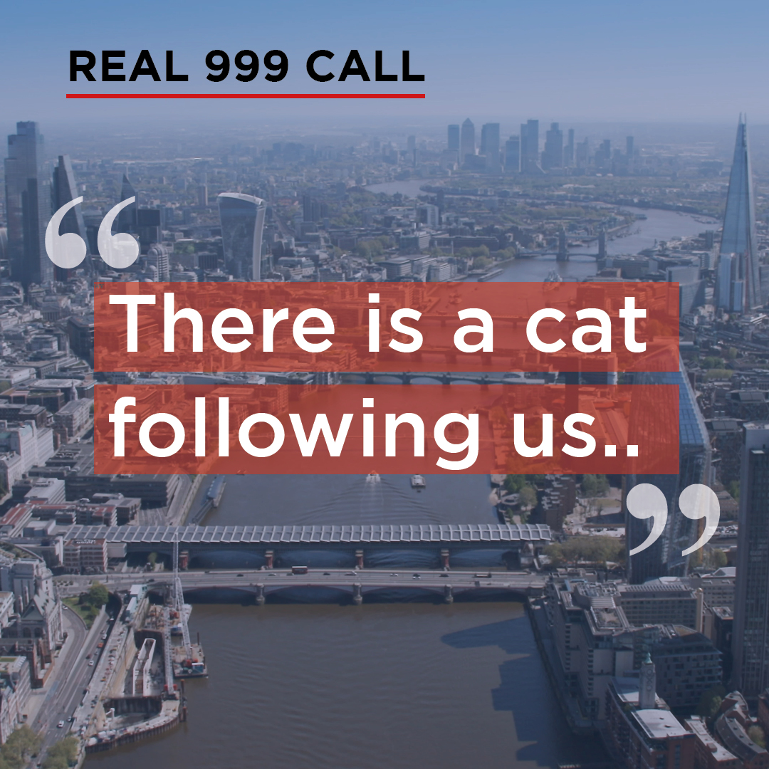 Calling 999 to report a cat following you is not an emergency. Calls like these prevent those who really need an urgent police response from getting through to us. #ThinkBeforeYouDial