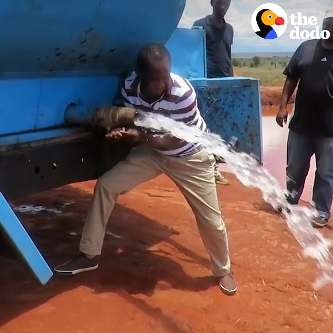 The story of "water man" Patrick Mwalua, the man who has been buying and transporting water for long distances to Tsavo West National Park to quench wild animals' thirst [read more: