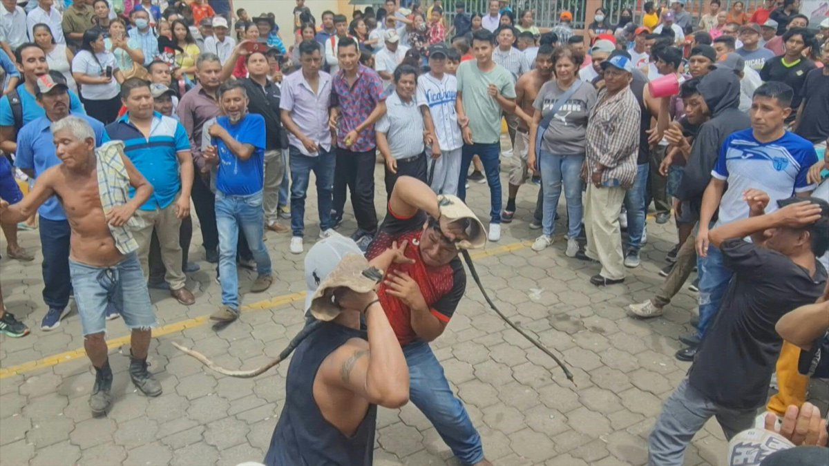 VIDEO: Whether to atone for their sins or for a taste of adrenalin, dozens of people in Nicaragua take part in the four-centuries-old religious tradition of whipping each other with dried bull penises.