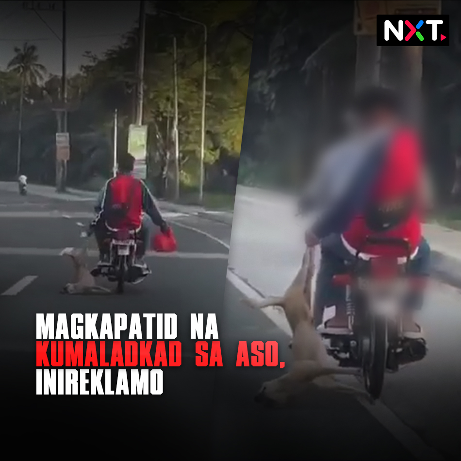 Inireklamo ng animal welfare organization ang 2 lalaki na nakuhanan ng video na nangmamaltrato ng aso sa Laguna. Kinaladkad ng dalawa ang aso habang sakay sila ng motorsiklo. #NXT Basahin ang mga kaugnay na ulat: