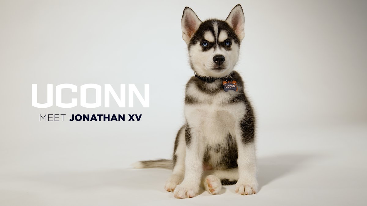 There’s a new Husky on campus – welcome to UConn, Jonathan XV 💙