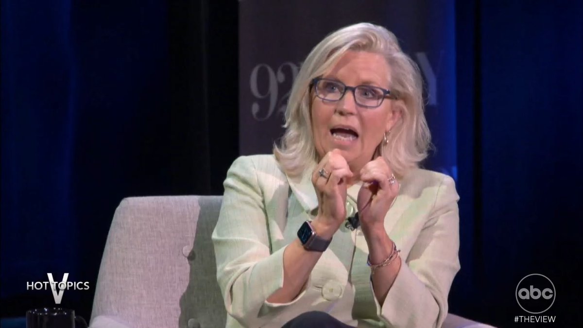 LIZ CHENEY SAYS AMERICA IS 'ELECTING IDIOTS’: After the former Wyoming congresswoman spoke out on the state of politics in America today, #TheView co-hosts weigh in.