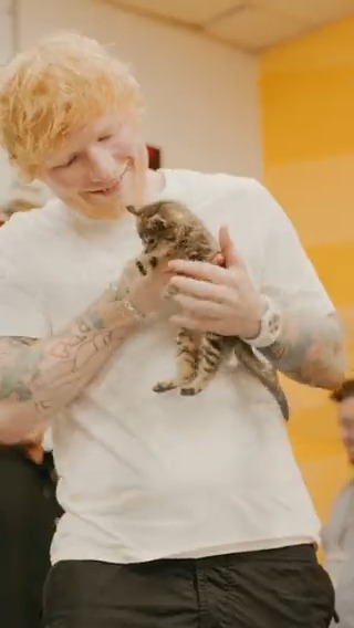 Ed with puppies &amp; kittens. That's it, that's the tweet 🐶🐈