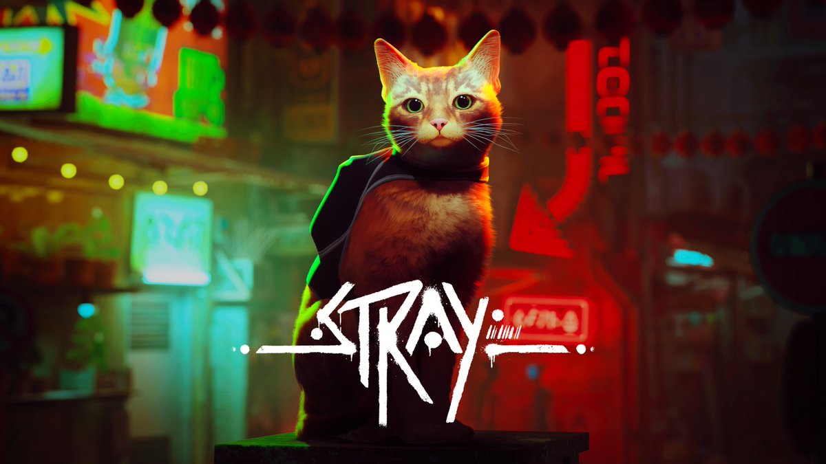 The cat is out of the bag 🐱 Stray is coming to Xbox on August 10!