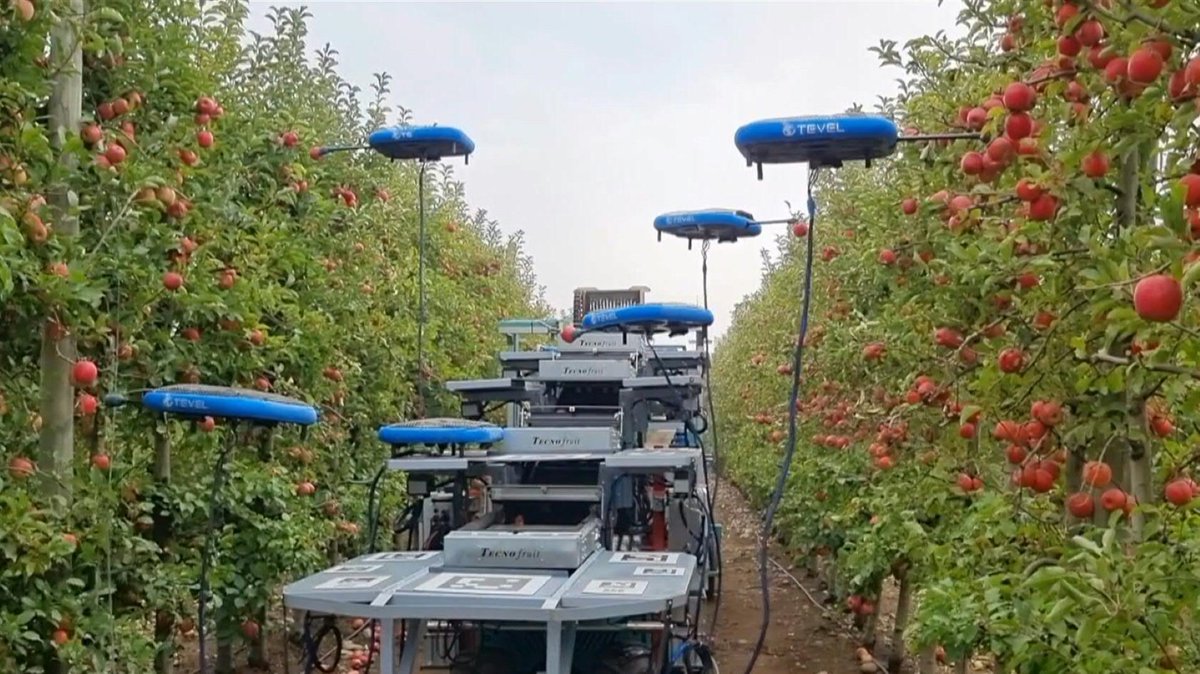 The future of farming? 👀