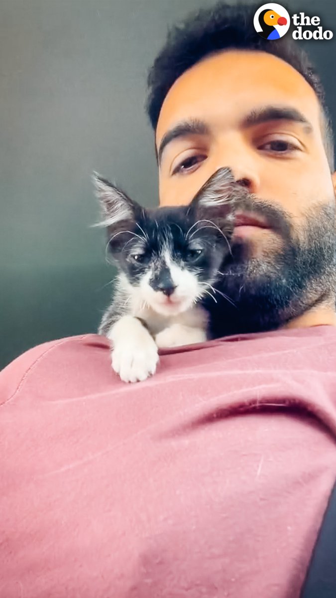 Guy can't stop rescuing cats, so he rents 3 apartments for all of them 😻💕