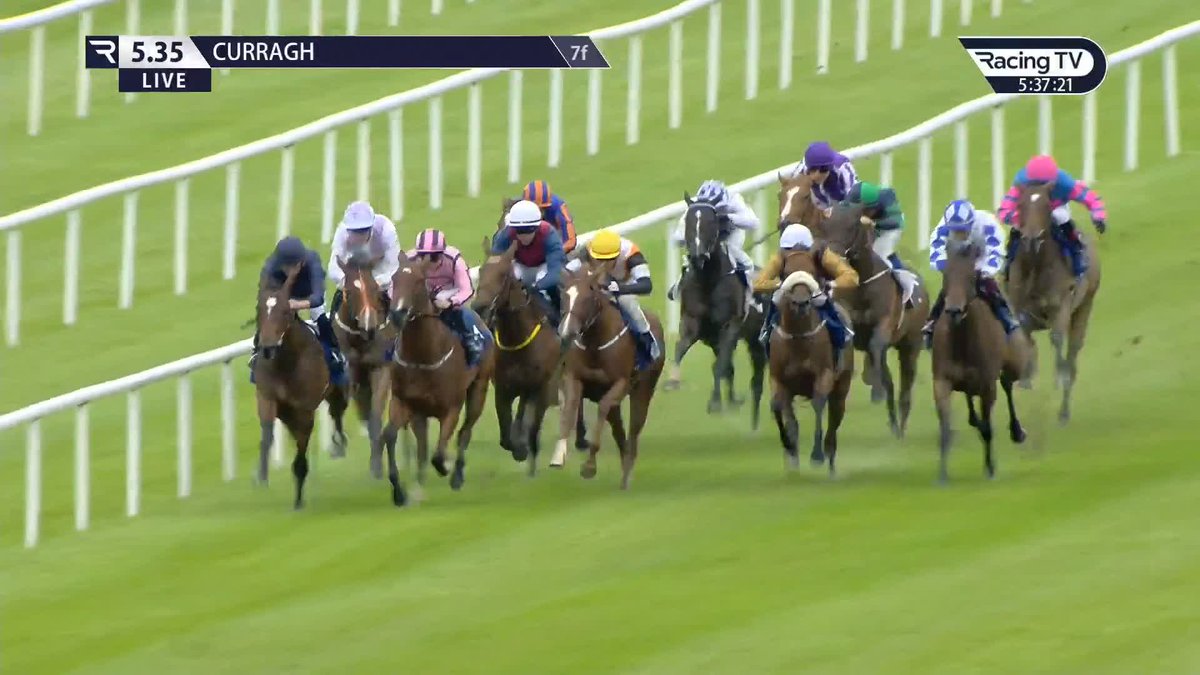 Remember the name 👀 Ylang Ylang (Frankel) makes the perfect start for Aidan O'Brien and this 1.5m gns filly could be pretty exciting for Ballydoyle Racing after a lovely debut at The Curragh Racecourse
