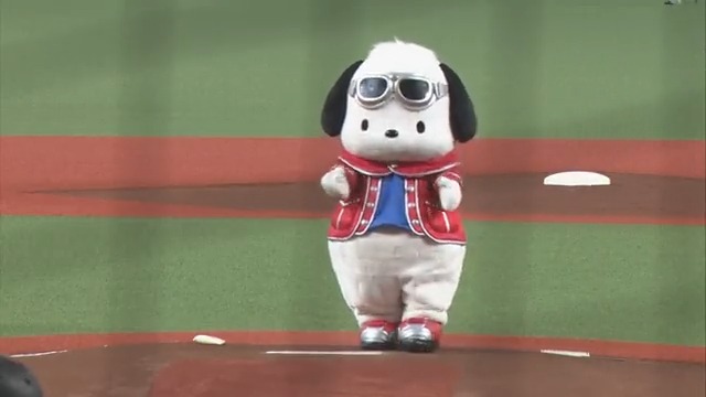 【始球式】 武蔵野銀行のイメージキャラクターも務めるサンリオキャラクターの #ポチャッコ が始球式に登場‼️ #seibulions 埼玉西武ライオンズ