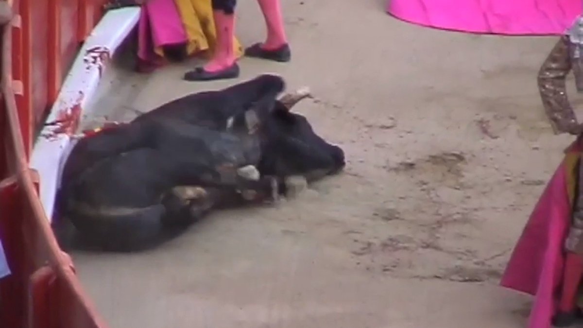Bullfighting must be banned.