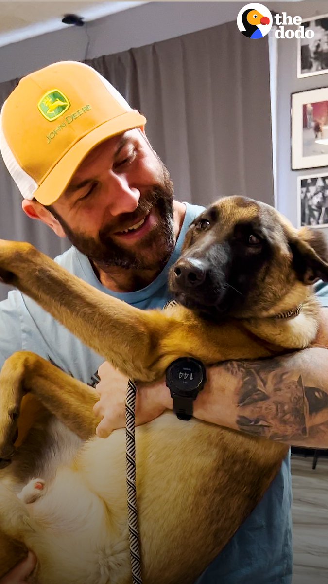 This Malinois puppy was losing his sight in the shelter and losing hope... until this guy showed up ❤️