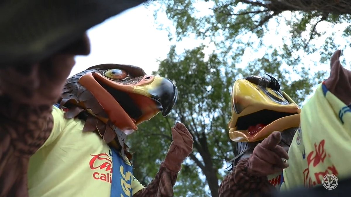 Un anuncio de película #QuiñonesÁguila 🎞️✈️🦅