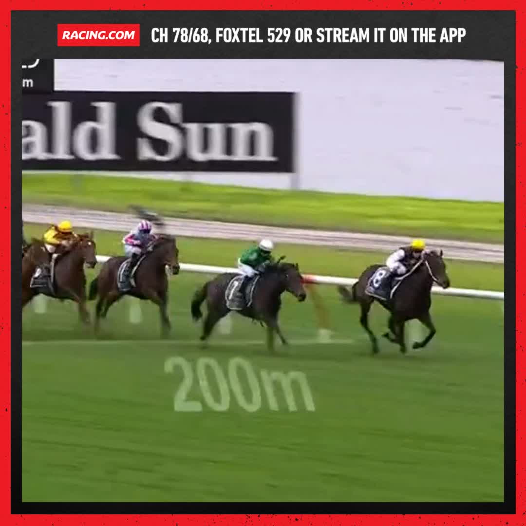 Elsie May sticks her neck out in a thrilling finish 😯 Ciaron Maher Racing Luke Campbell
