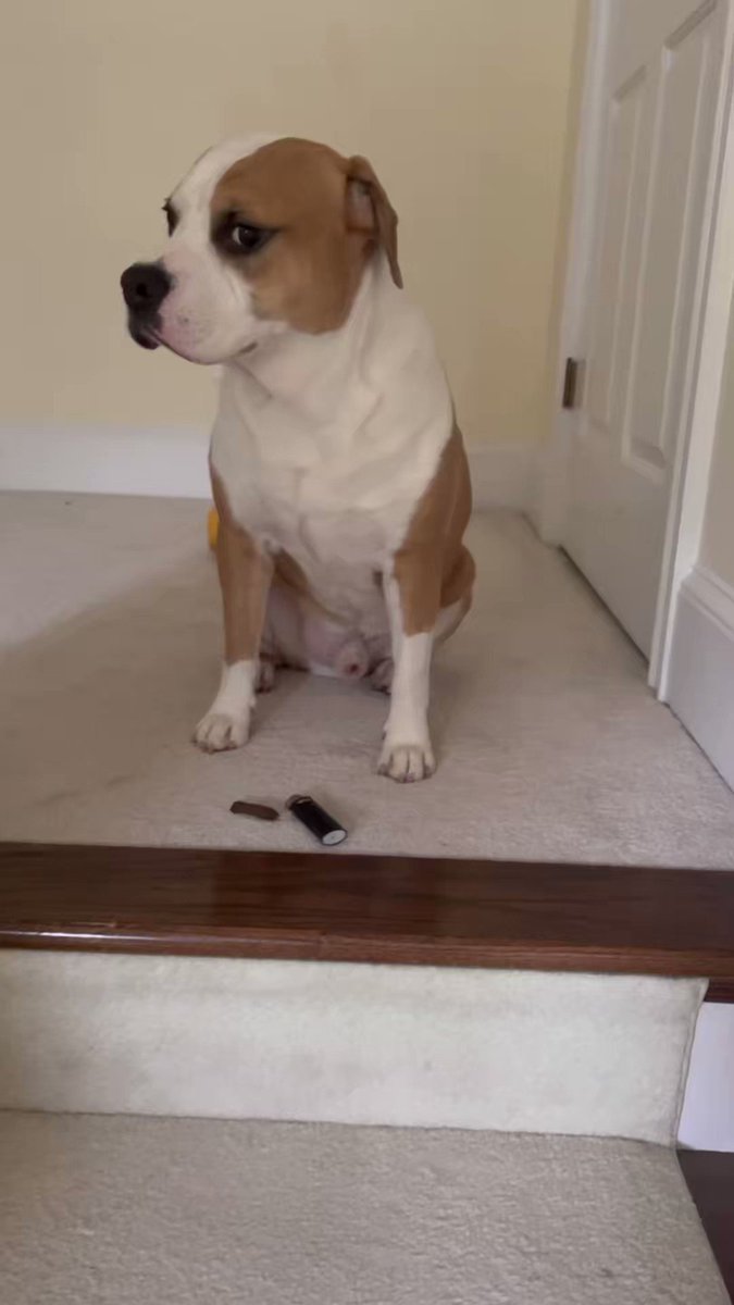 Come get y’all puphew the hell out my house