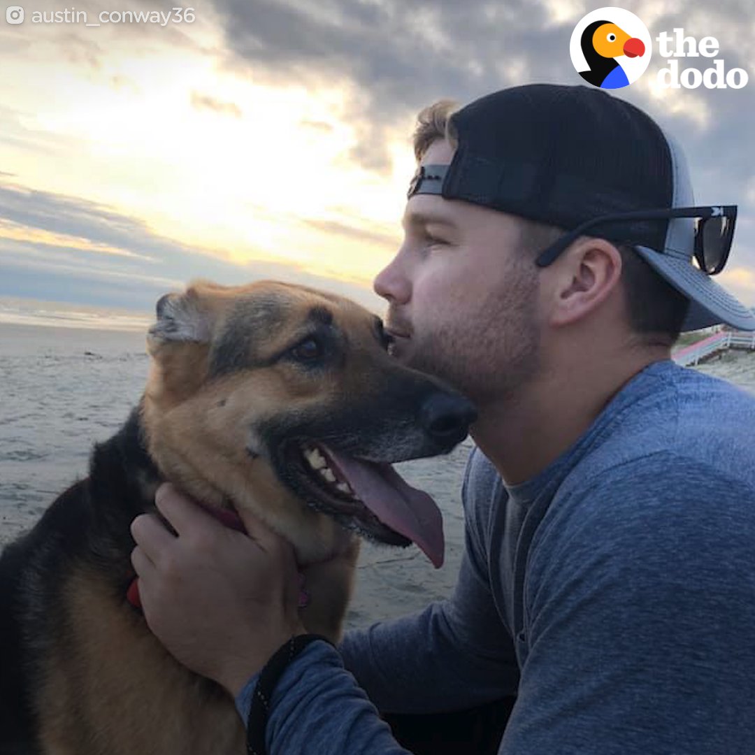This pro baseball player's open letter to his dog 😭❤️
