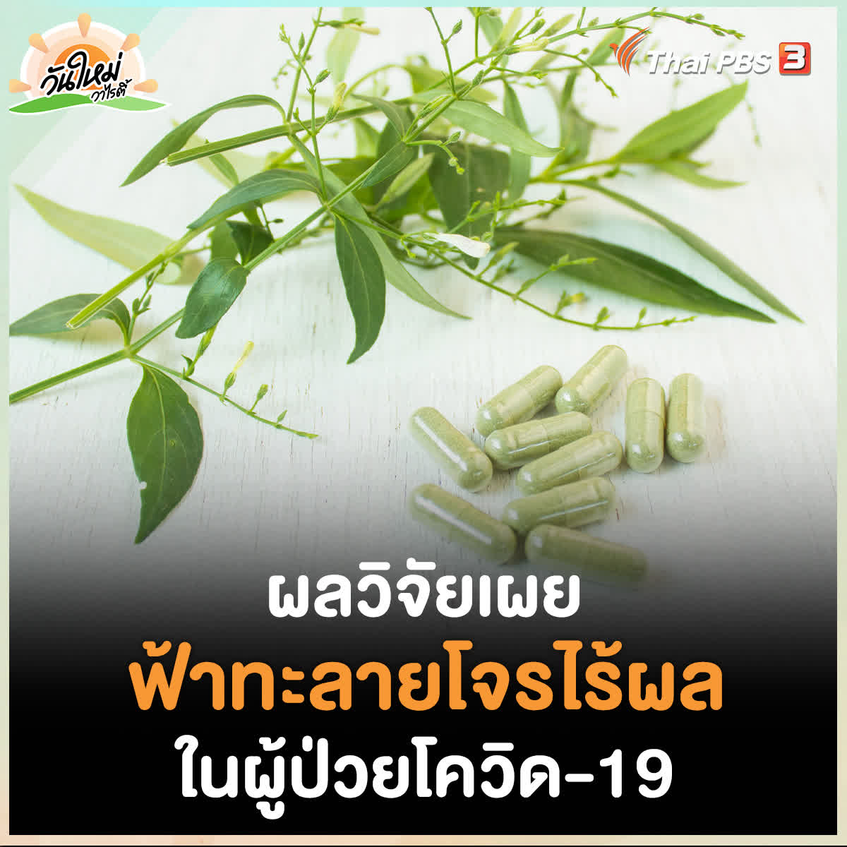 สถาบันวิจัยระบบสาธารณสุข (สวรส.) เผย ยาหรือสารสะกัดจากฟ้าทะลายโจร ไม่สามารถลดอัตราการเกิดปอดอักเสบ ลดอาการ หรือลดปริมาณของเชื้อไวรัสโควิด-19 ได้ จะเกิดผลแทรกซ้อนต่อการทำงานของตับ จึงไม่แนะนำให้จ่ายยาให้ผู้ป่วยโควิด-19 ที่ไม่มีอาการ-อาการน้อย #วันใหม่วาไรตี้ #ThaiPBS