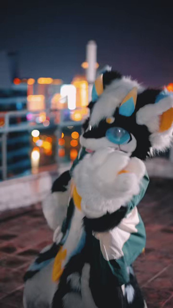 深夜奇行种~但是看着超开心！！ #idontthinkthatilikeher #furry #Fursuit #兽装 #牵比绒