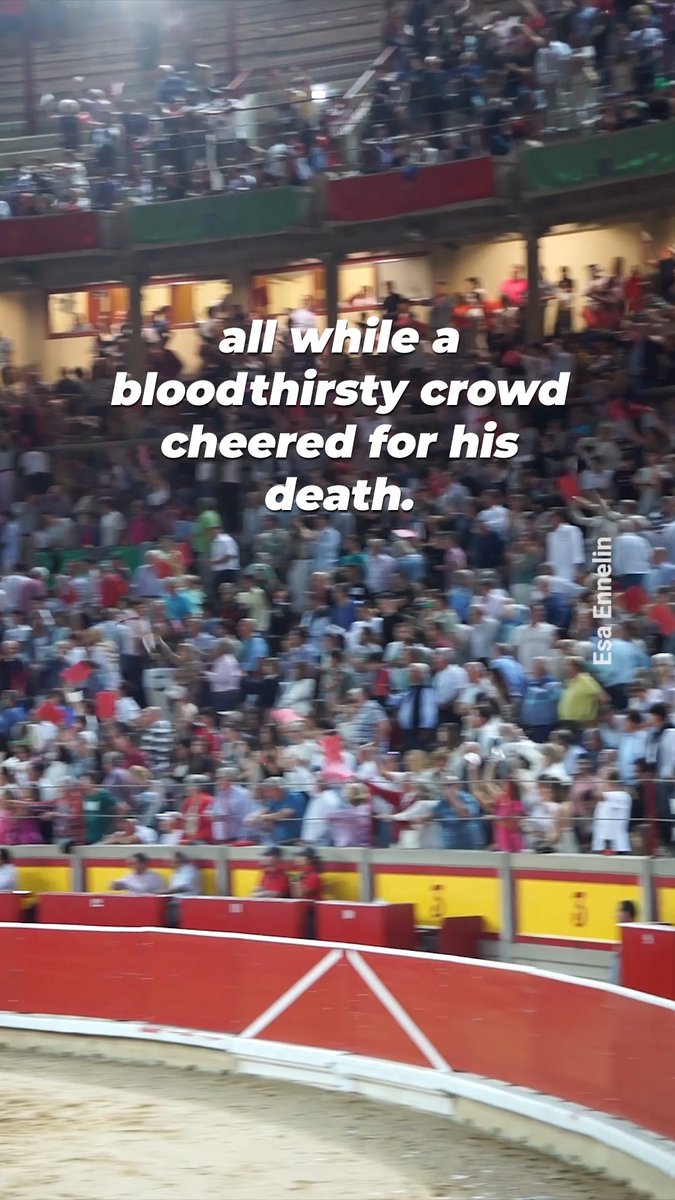 This was taken in Pamplona, Spain ahead of its #RunningOfTheBulls. This isn’t entertainment. It’s a ritualized, horrific execution of an innocent victim & it’s wrong.