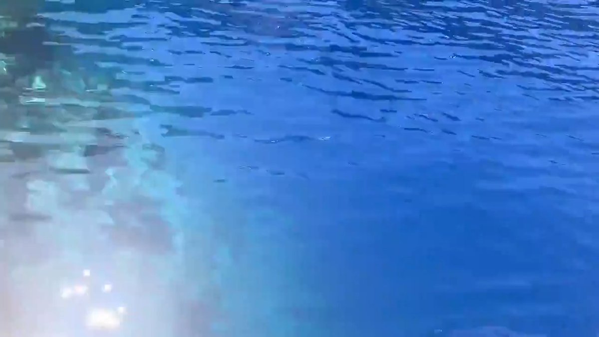 Watch as the brilliant blue water deepens at Crater Lake National Park. You're looking at one of the cleanest and clearest lakes in the world.