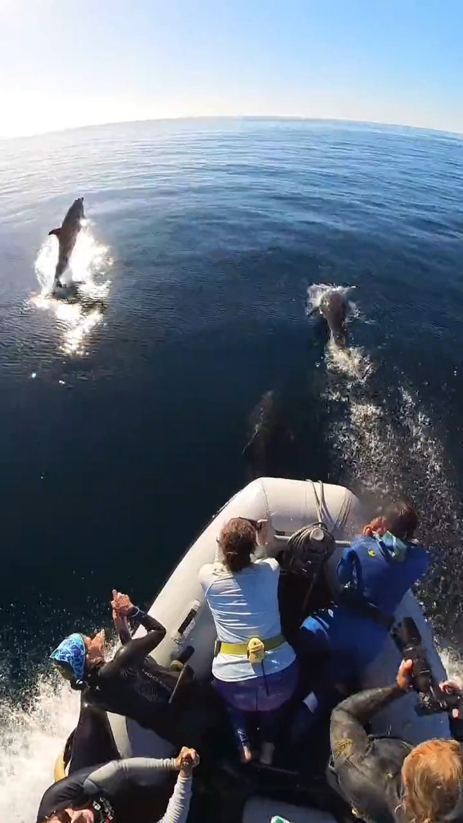 Oh it's like a PARTY party 🐬 Count 'em, we dare you. 📸 Carlos G. with #Insta360X3