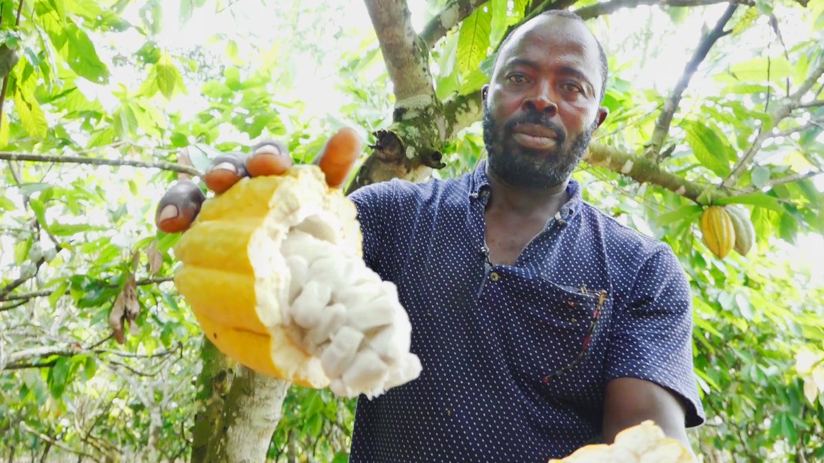 Ghana grows our cocoa, so why can’t it make chocolate?