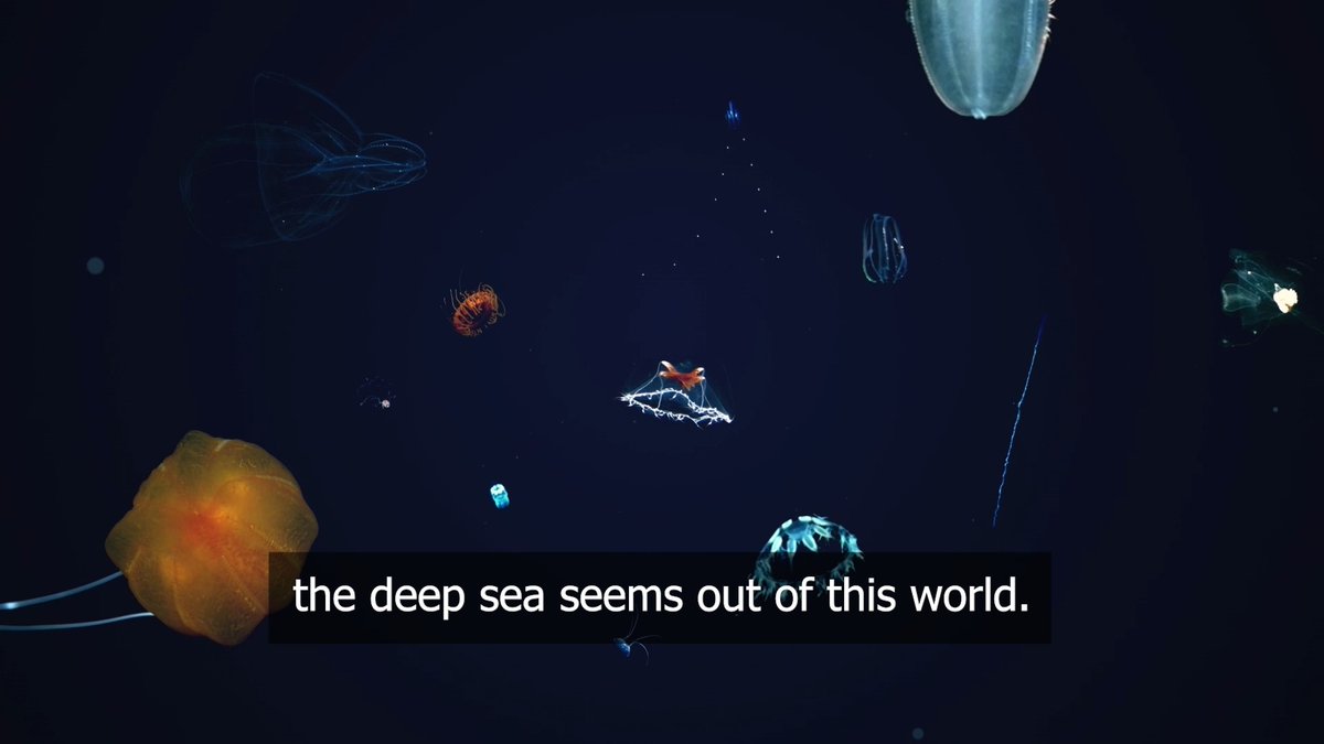 🤕Our shared home can’t seem to catch a break from human-caused #destruction. ⛏💰Mining companies are now looking to destroy Earth's final frontier: the deep sea. 🛑RT if you agree we MUST halt #DeepSeaMining! #ThinkDeeply