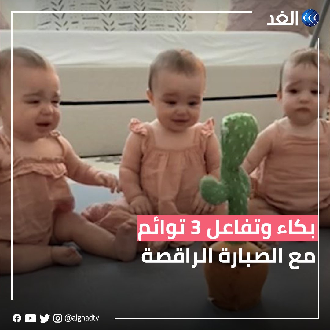 لقطات تُظهر تفاعل 3 توائم في عُمر 8 أشهر مع لعبة «الصبارة الراقصة» #قناة_الغد #AlGhadStory