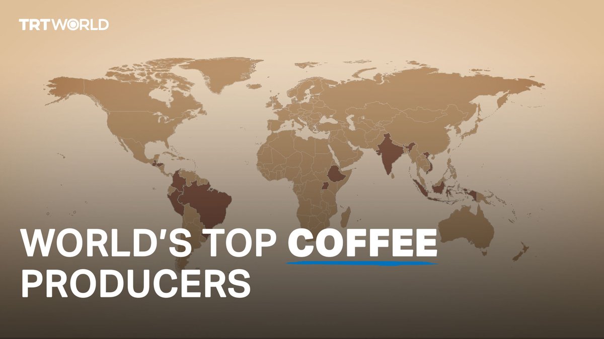 Coffee thrives in the coffee belt, which runs horizontal to the equator. We look at the top 10 countries that dominate global coffee production annually