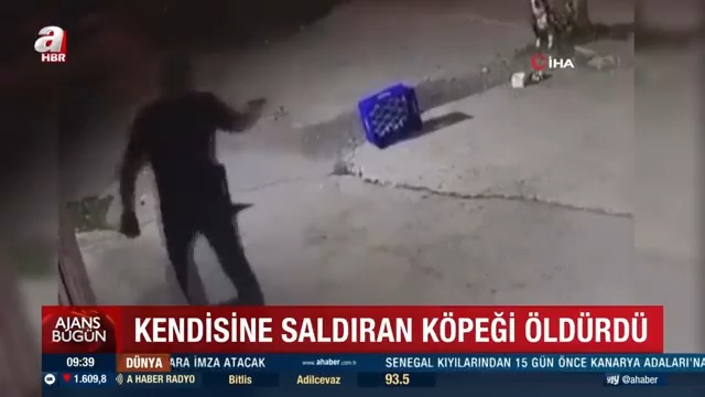 Bir şehir eşkıyası, sokakta kendisine saldıran köpeğe gözünü kırpmadan kurşun yağdırdı! Hem saldırgan, hem de ölen köpeğin sahibi tutuklandı.