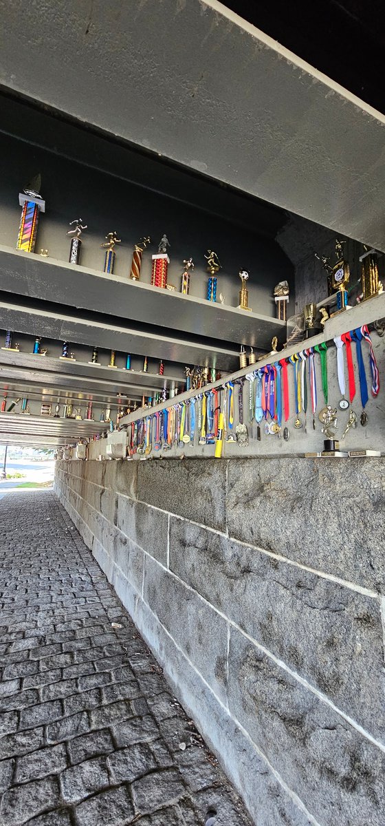What started as a street art project in 2014, the Longfellow Bridge has a "trophy room" beneath the Cambridge side of the bridge, steadily expanding over the years as people would stop by and leave their trophies and plaques along the bridge underpass. 🏆