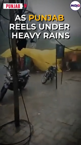 Come rain or shine, there's no stopping the #Indian baraat! #viralvideo #punjabrains